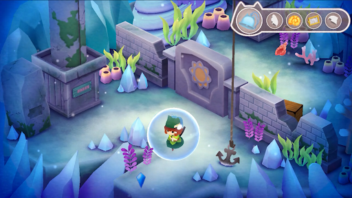 Puertas para gatos callejeros 3 Aventura felina